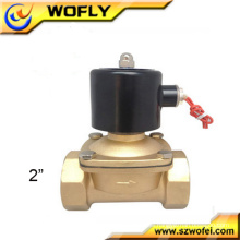 AC 220V 2 pulgadas válvula solenoide hidráulica para fuente / riego